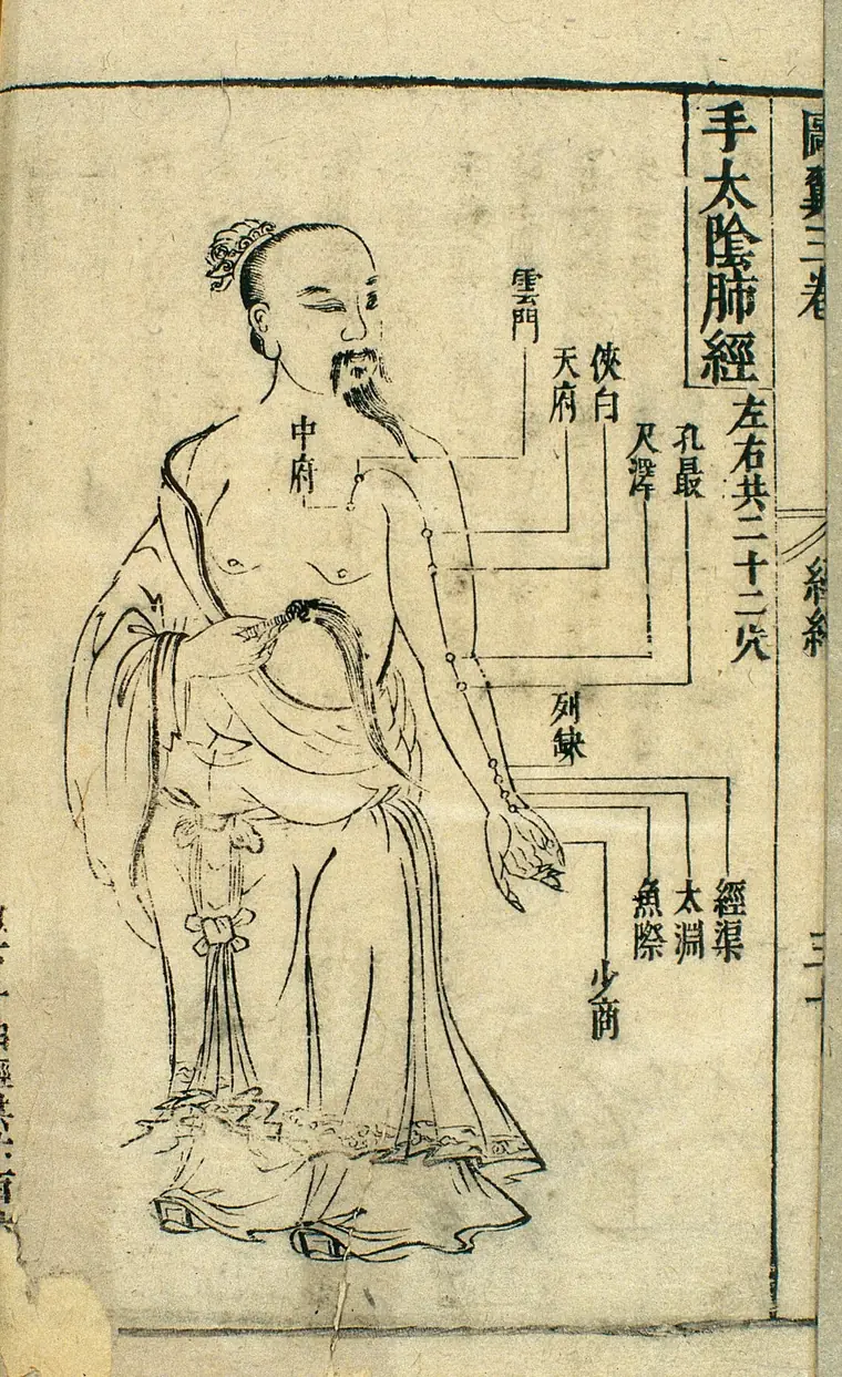 17 世纪中国针灸经络图：一位长须老者立像，题“手太阴肺经，左右共二十二穴”，手臂上沿一条线标着中府、云门、天府、侠白、尺泽、孔最、列缺等穴位
