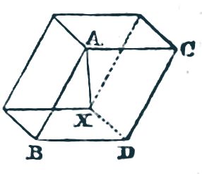内克尔 1832 年信中所附的菱形体插图，顶点标着 A、B、C、D、X