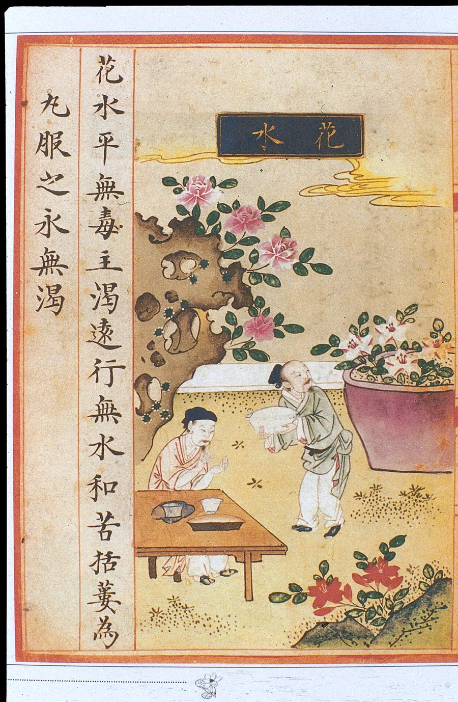 明代《食物本草》彩绘本中的“花水”一页：花树下，两人汲水。